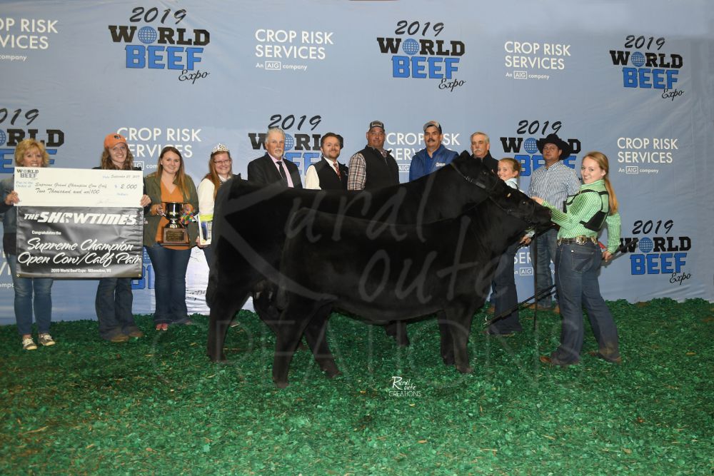 2019 Open Show Results